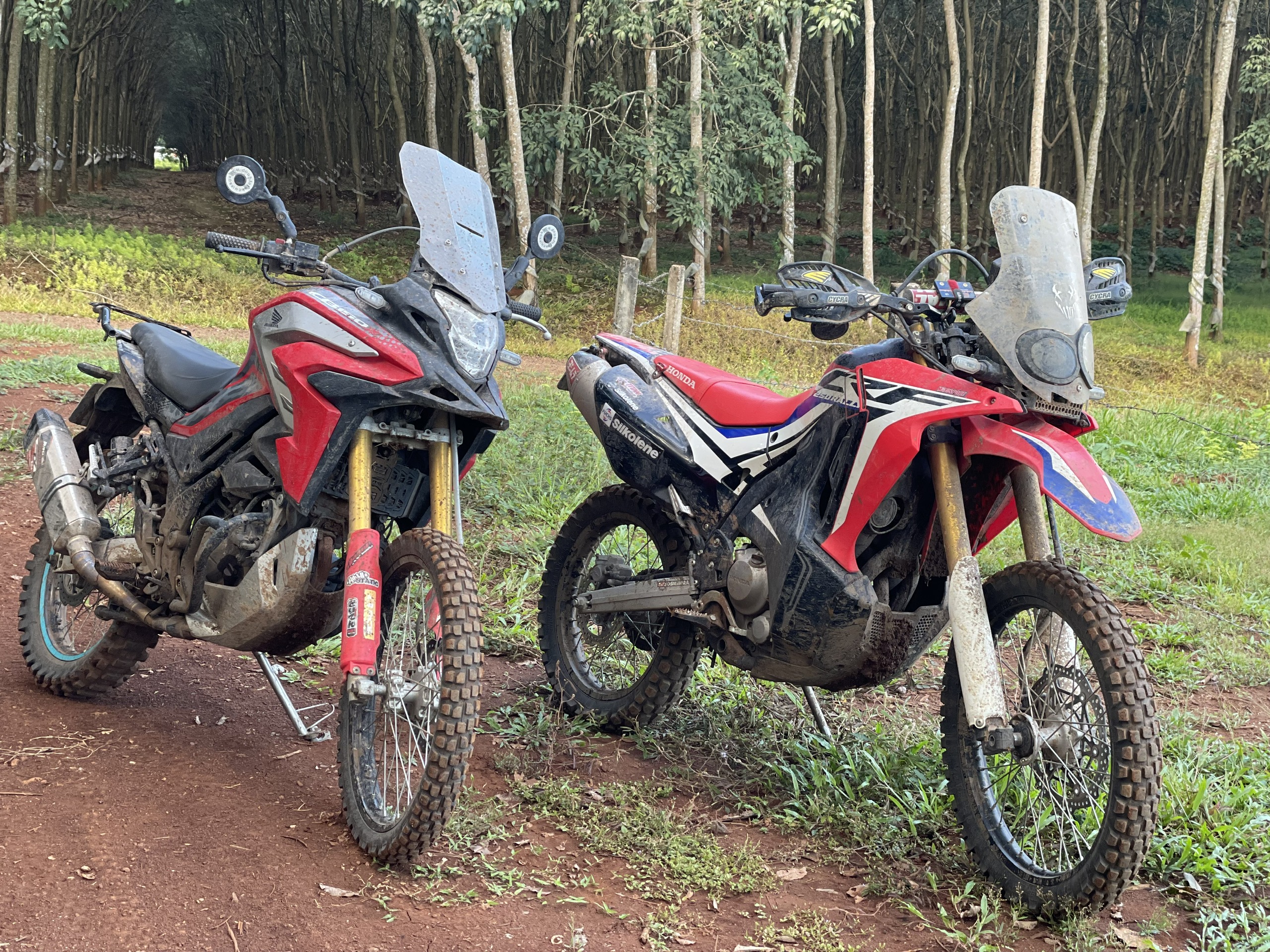 CB150X và CRF250 Rally